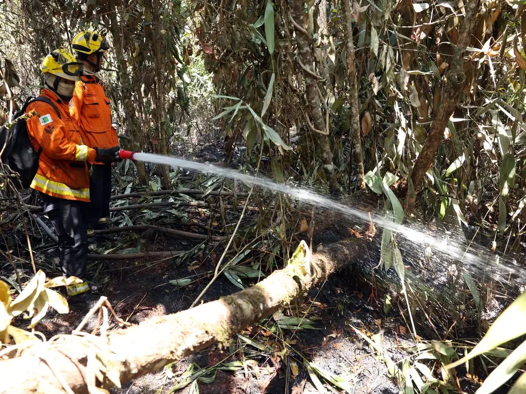 Incêndios no Brasil: conselho da CNI debate impacto na indústria e estratégias de combate