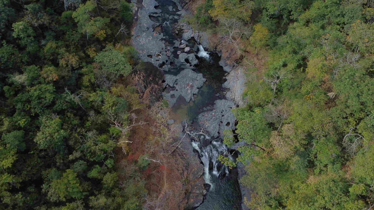 Vista aérea do cerrado, com árvores verdes e rio de cor escura no meio