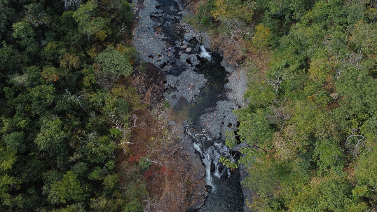 foto aérea mostra vegetação e o leito de um rio na Chapada dos Veadeiros