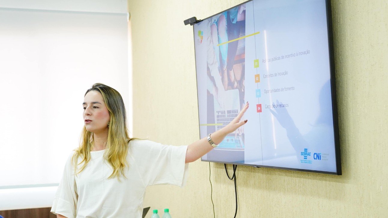 Workshop em Rio Verde (GO) discutiu oportunidades e desafios para captar recursos de fomento à inovação. Foto: Luca Guimarães / FIEG