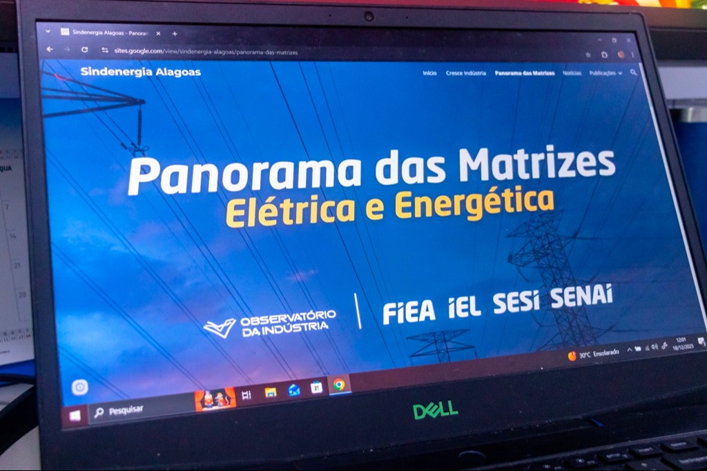Panorama está disponível no site do Sindenergia. Foto: Divulgação FIEA