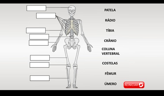 JOGOS EDUCATIVOS ONLINE + ATIVIDADES INTERATIVAS DIGITAIS de