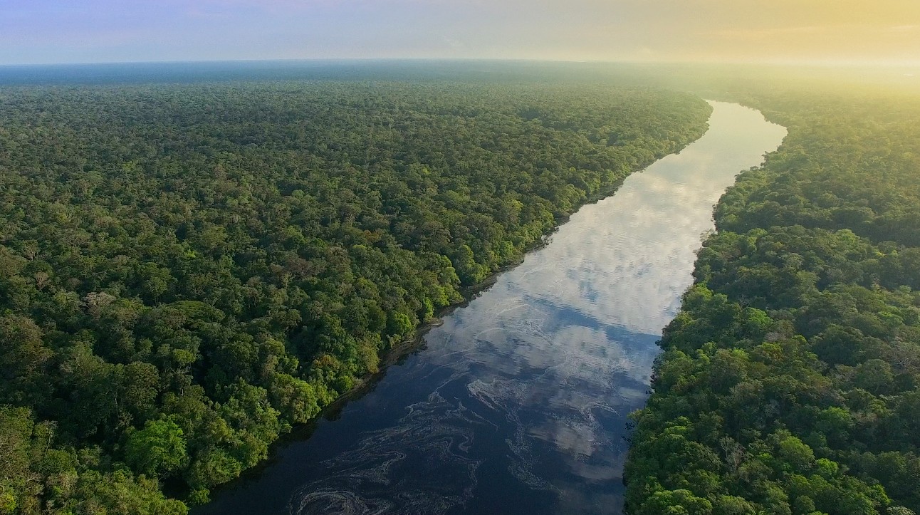 Descarbonização da economia é oportunidade para desenvolvimento da Amazônia