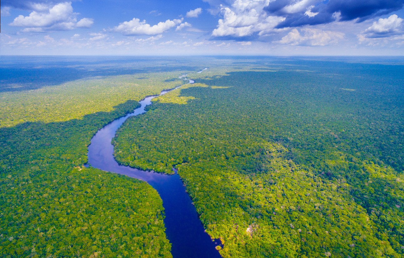 Parcerias com Instituto Amazônia+21 fortalecem negócios sustentáveis