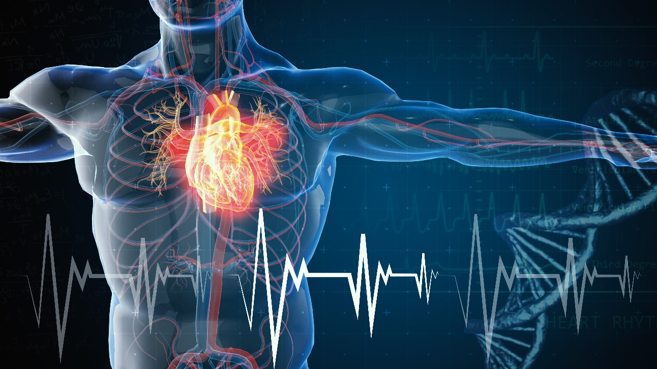SESI apoia campanha sobre cuidados com a saúde cardiovascular - Agência de  Notícias da Indústria
