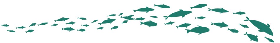 Ilustração com vários peixes em movimento