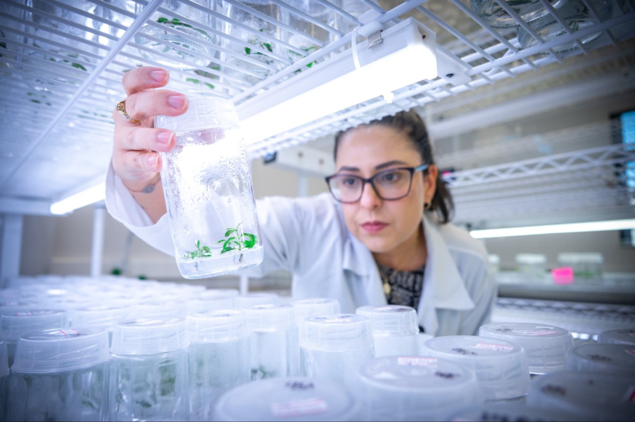 SENAI e BNDES se unem no programa Novos Rumos para levar qualificação em tecnologia, Indústria 4.0 e economia verde a quem mais precisa. Foto: Gabriel Pinheiro / CNI SENAI e BNDES se unem no programa Novos Rumos para levar qualificação em tecnologia, Indústria 4.0 e economia verde a quem mais precisa. Foto: Gabriel Pinheiro / CNI