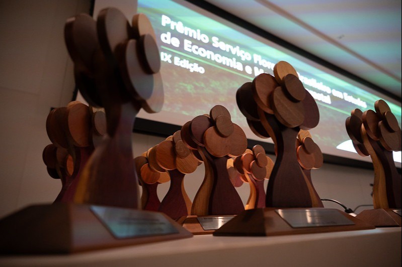 Cinco pesquisas inéditas foram reconhecidas por apontar caminhos econômicos e inovadores para recuperar áreas nativas e fortalecer a agenda da restauração no país